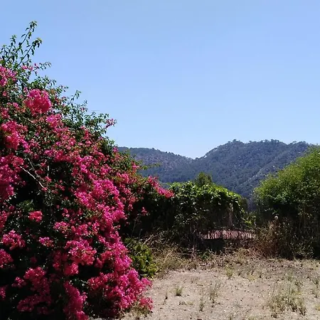 Montprats, Chalet Serra